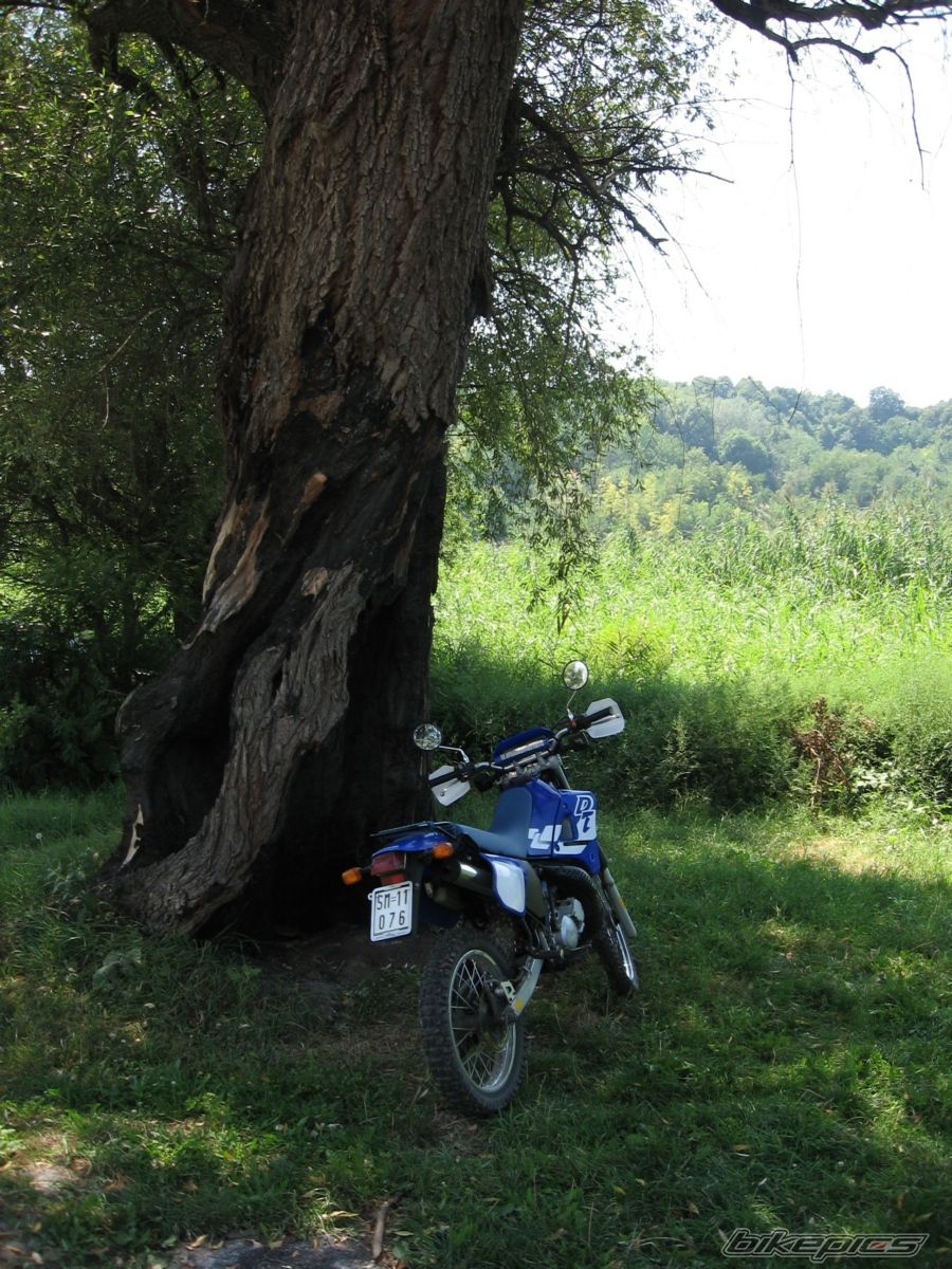 Bike Photo 1434526