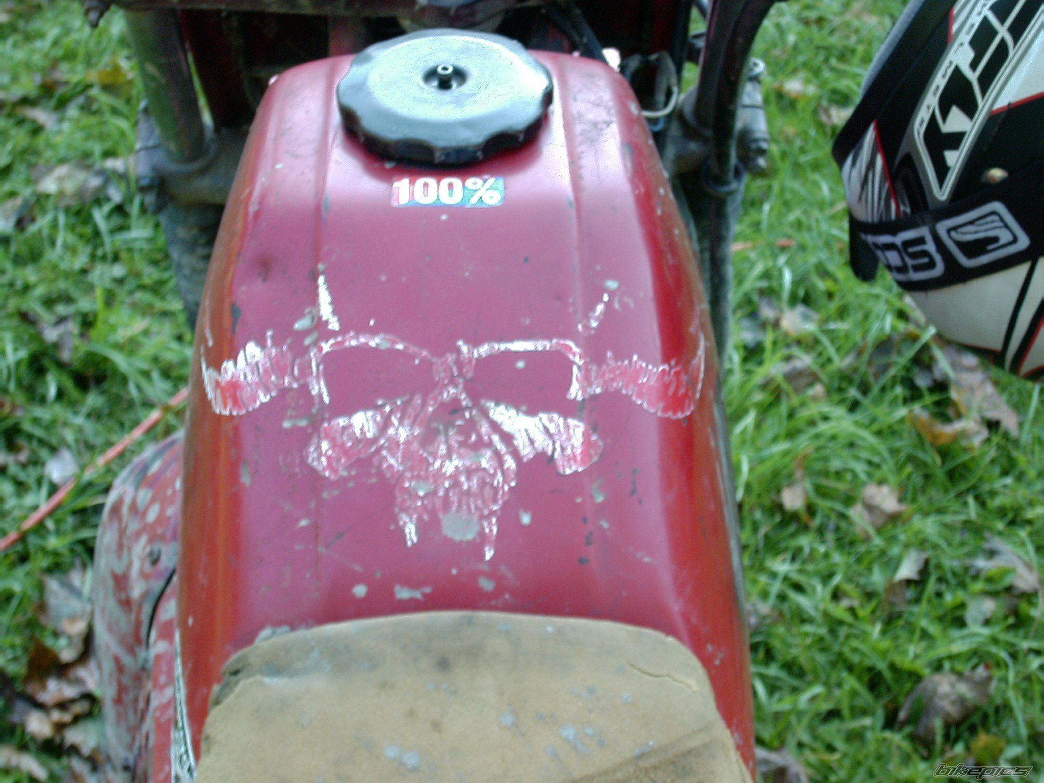 Photo 1434531