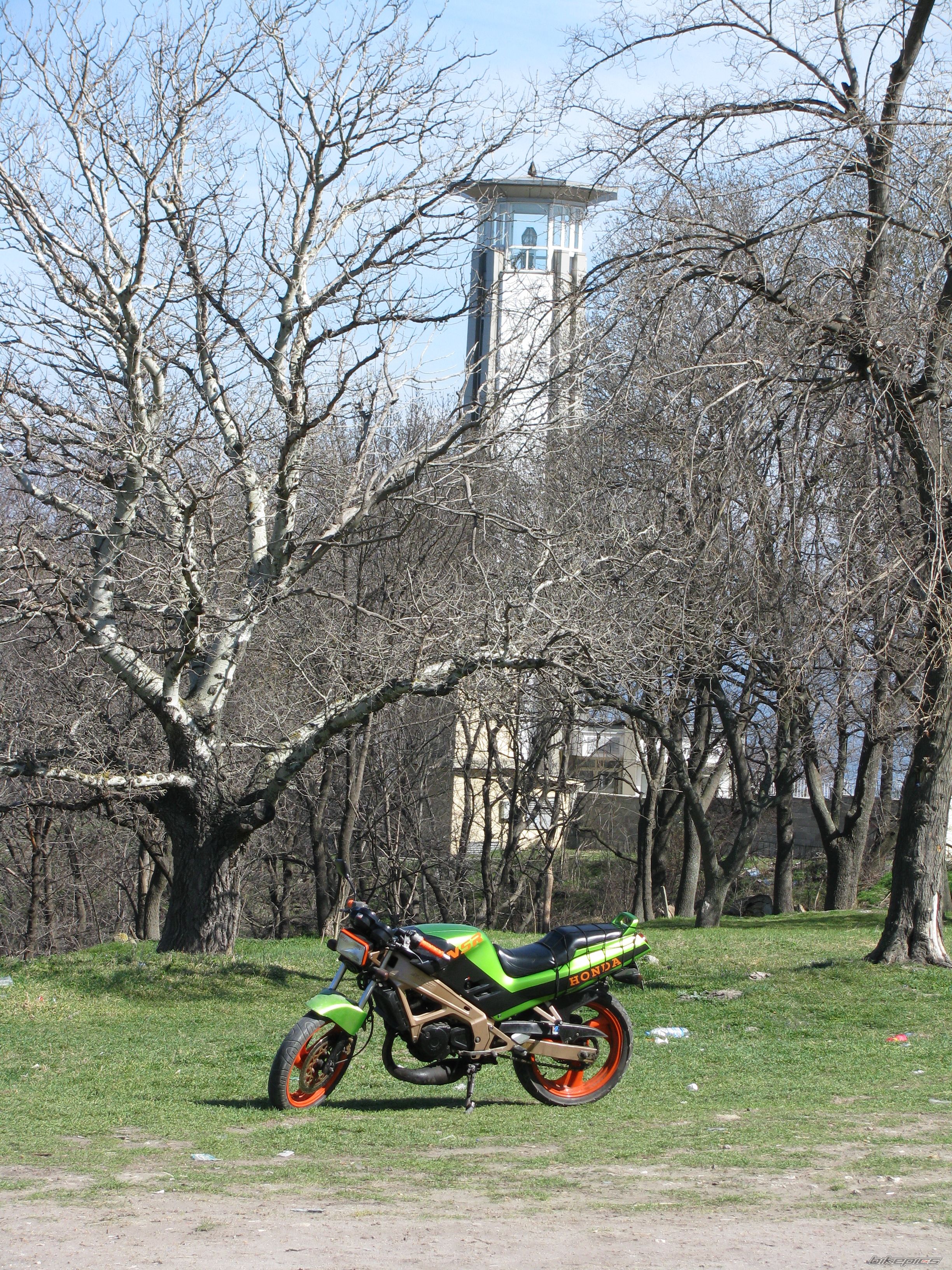 Photo 1434577