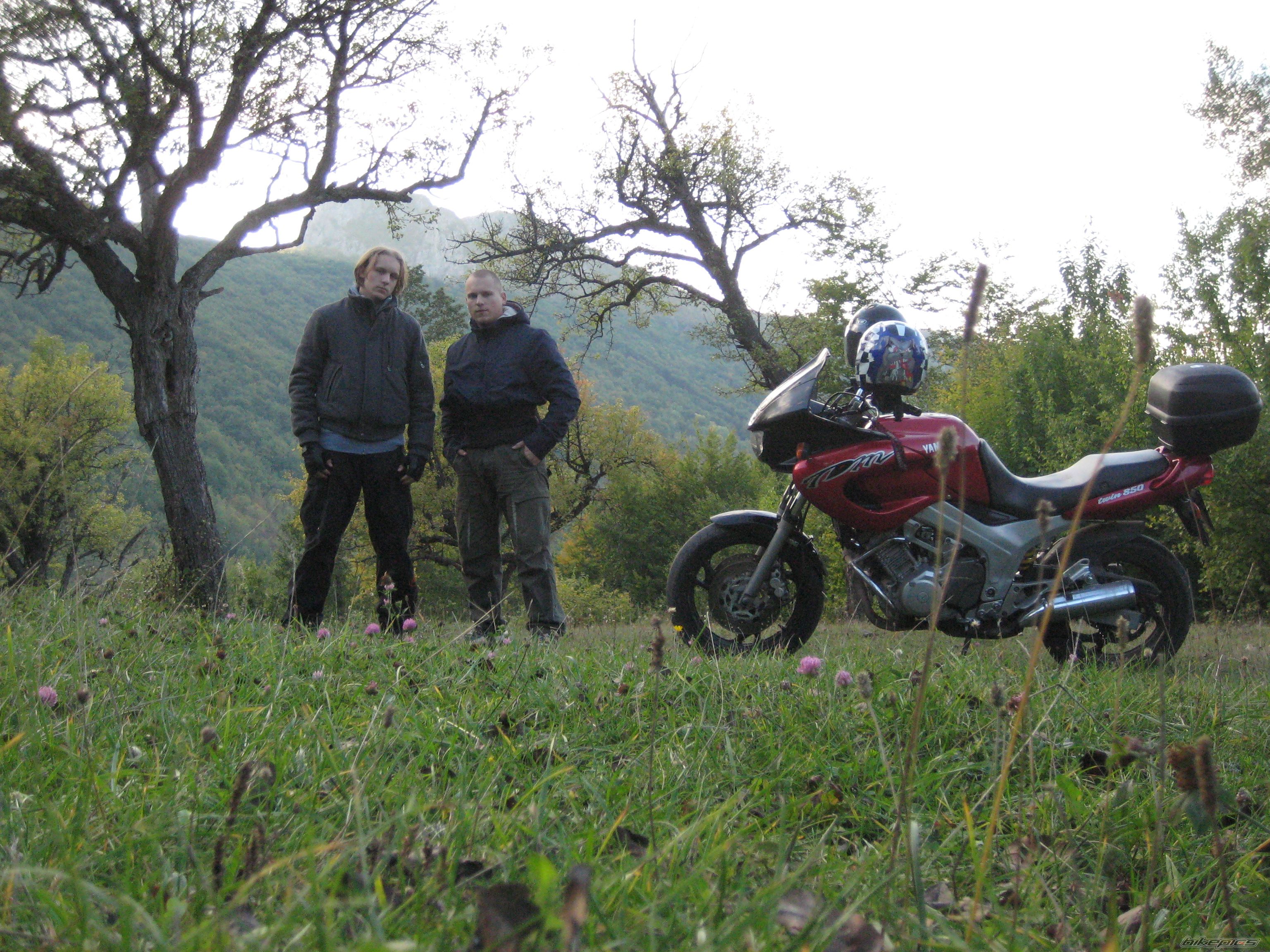 Photo 1434624