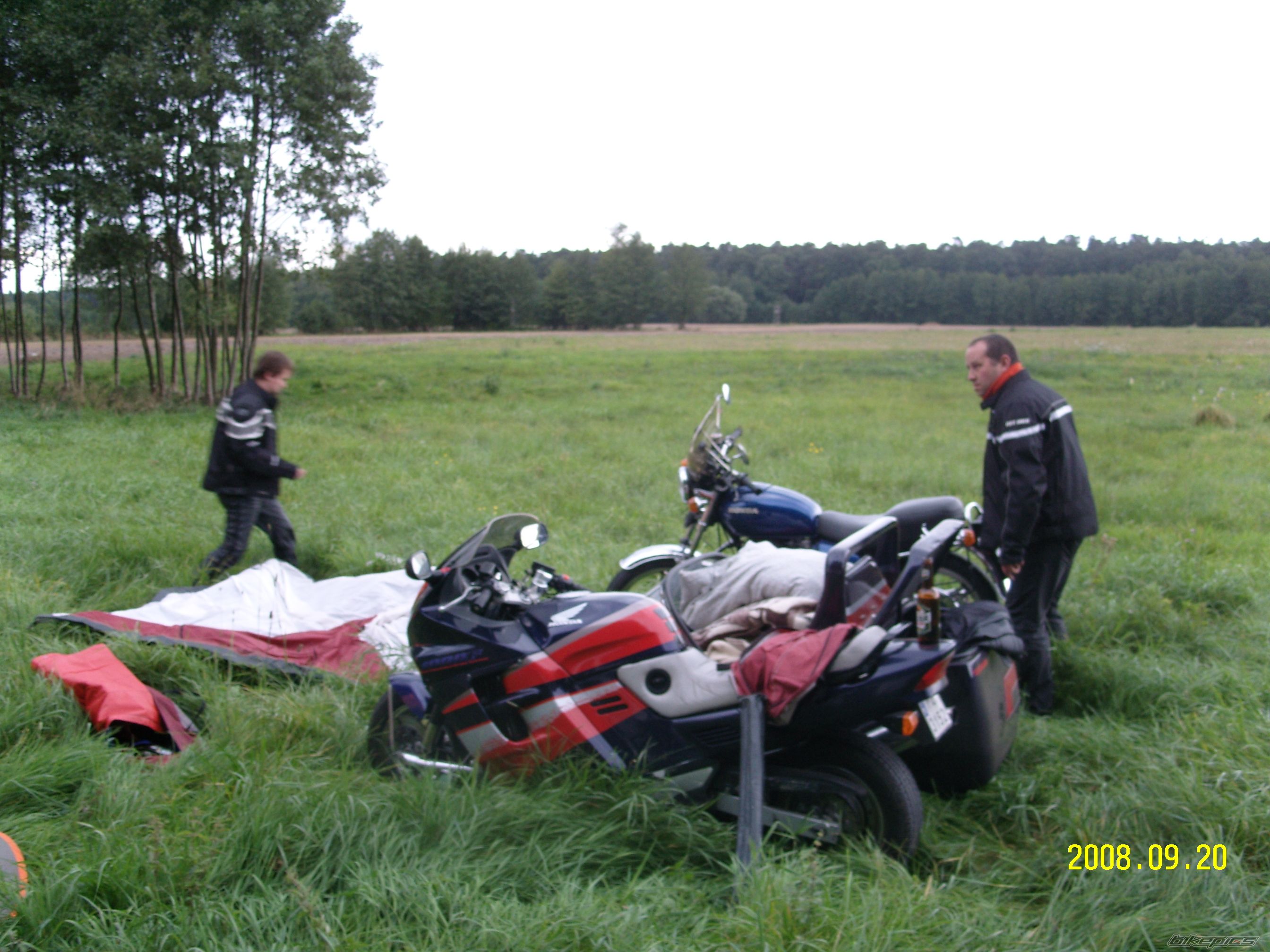 Photo 1434647