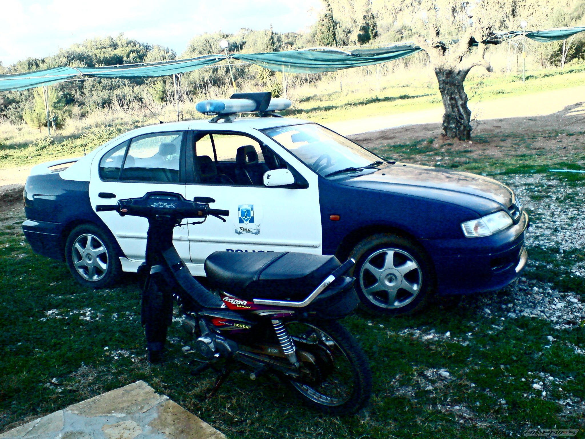 Photo 1434660