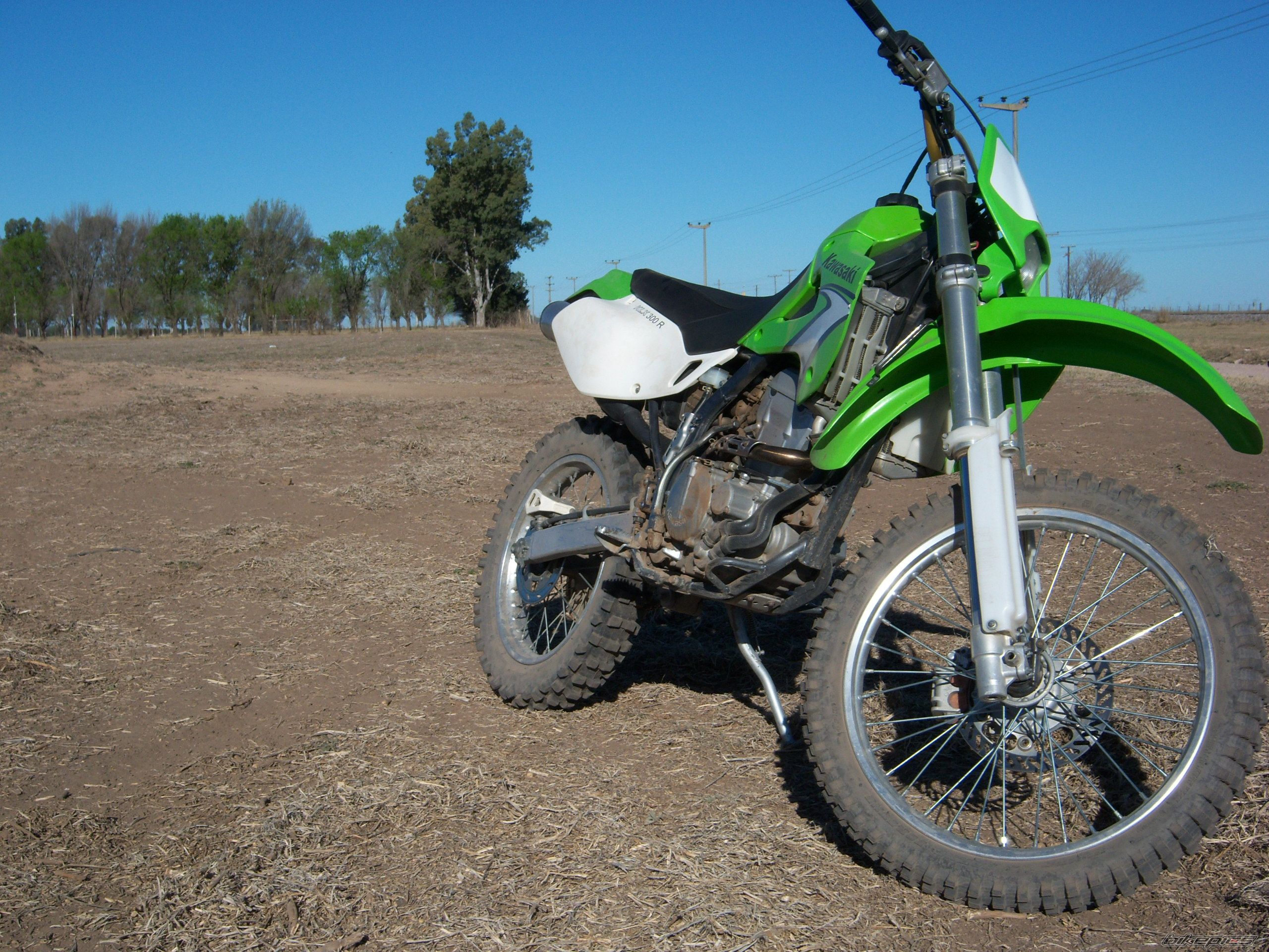 Photo 1434712