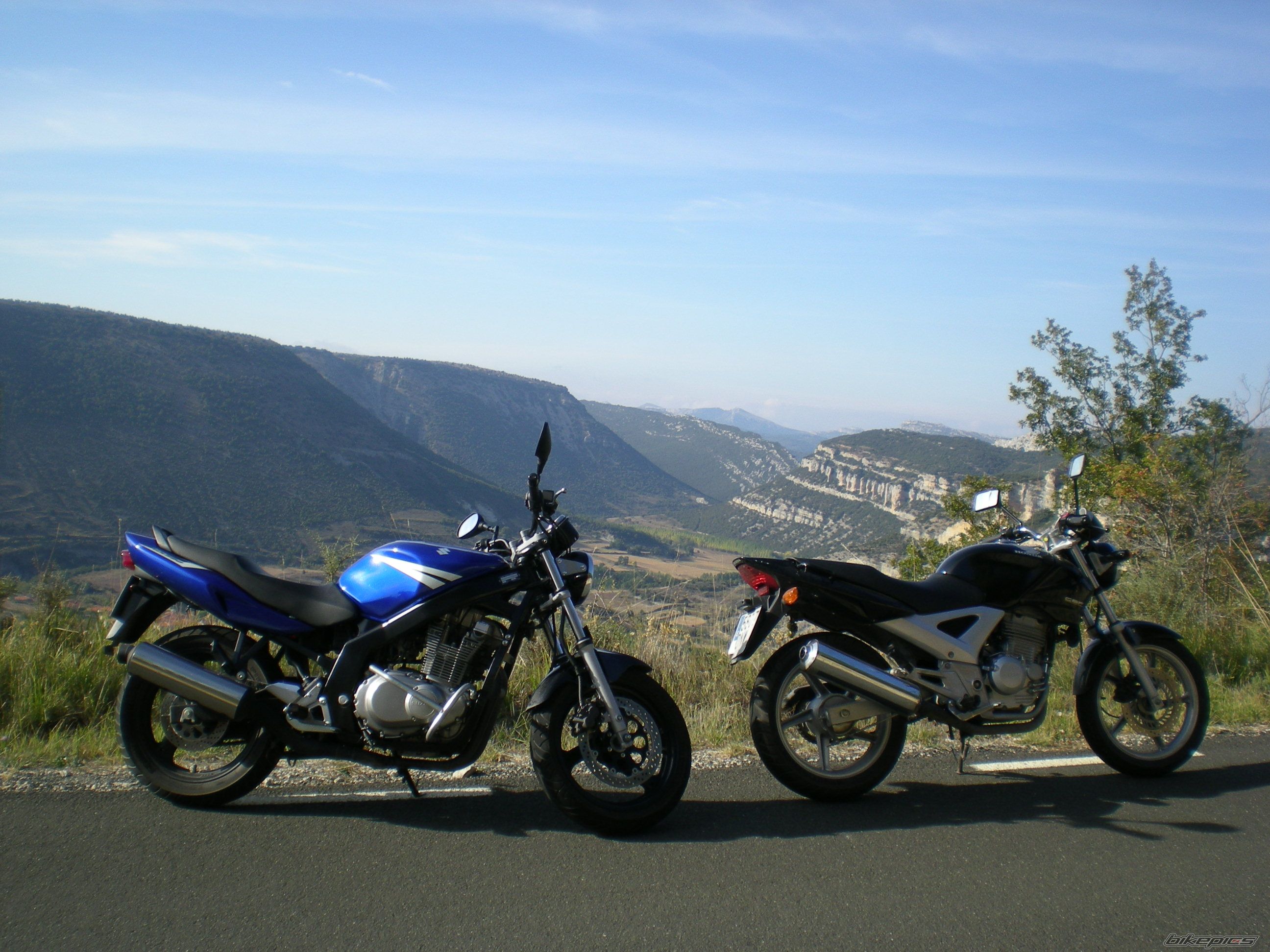 Photo 1434784