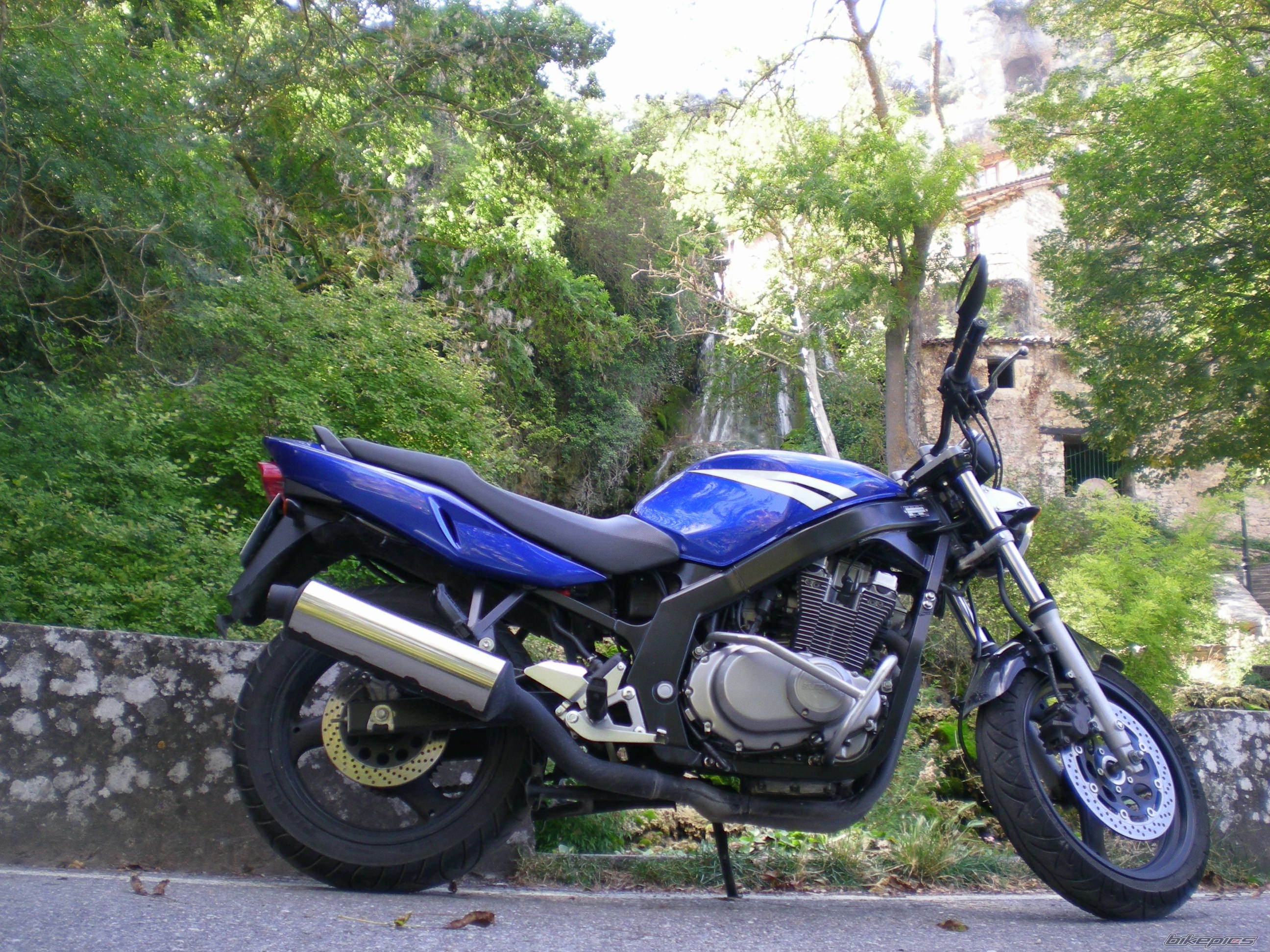 Photo 1434786