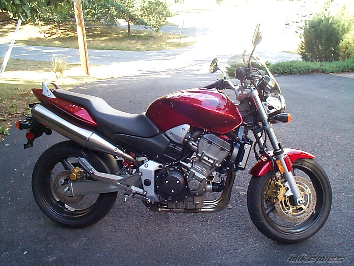 Photo 1434838