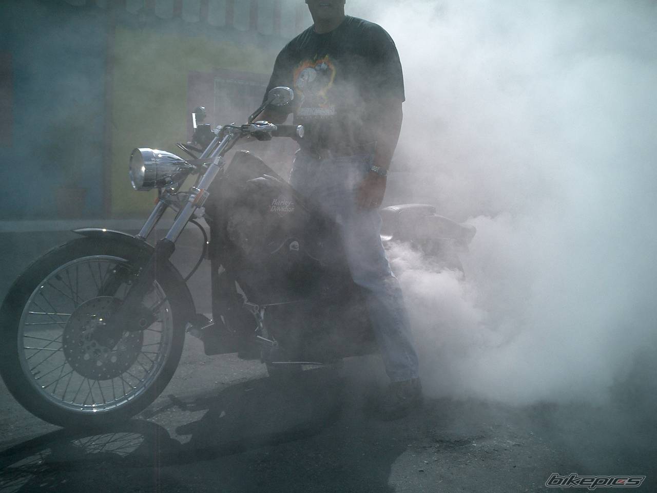 Photo 143491