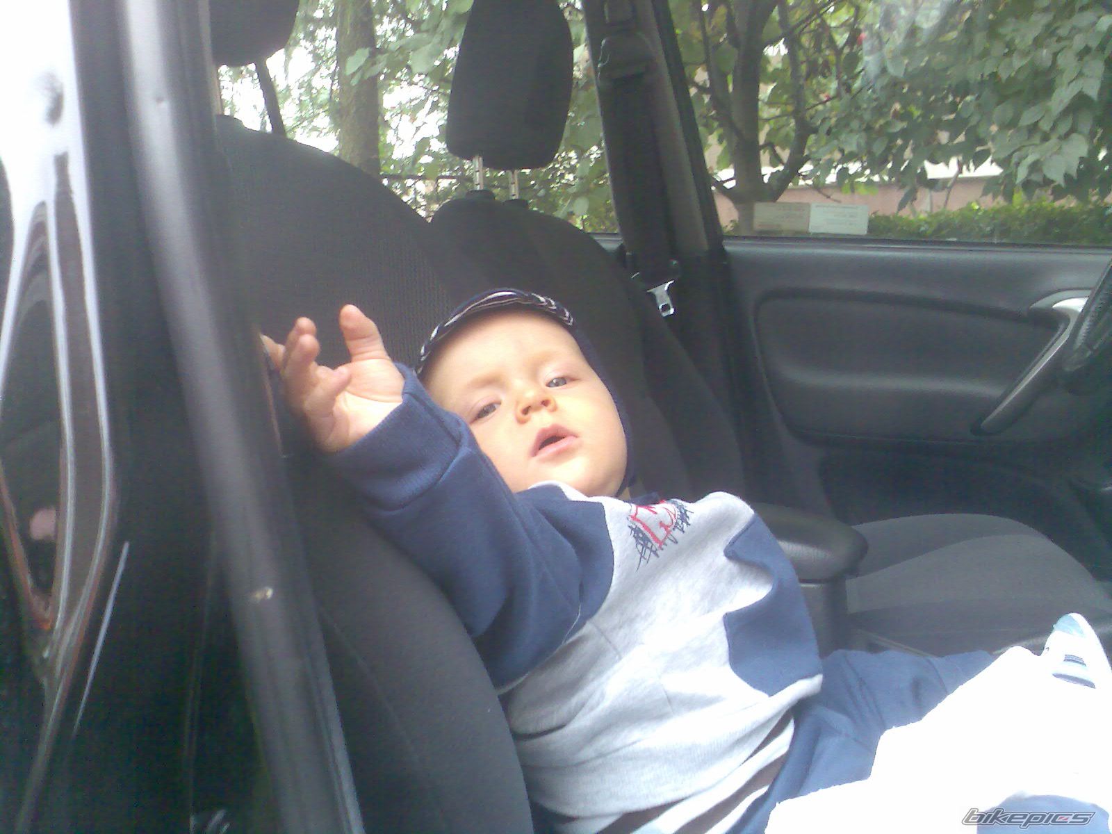 Photo 1435018