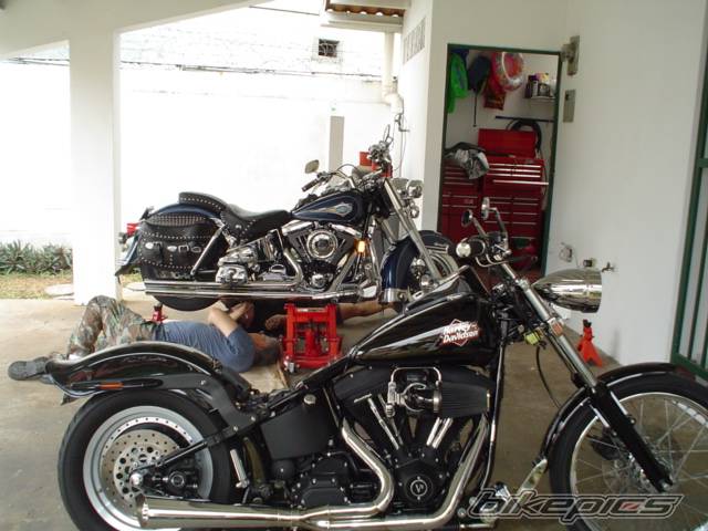 Photo 143502