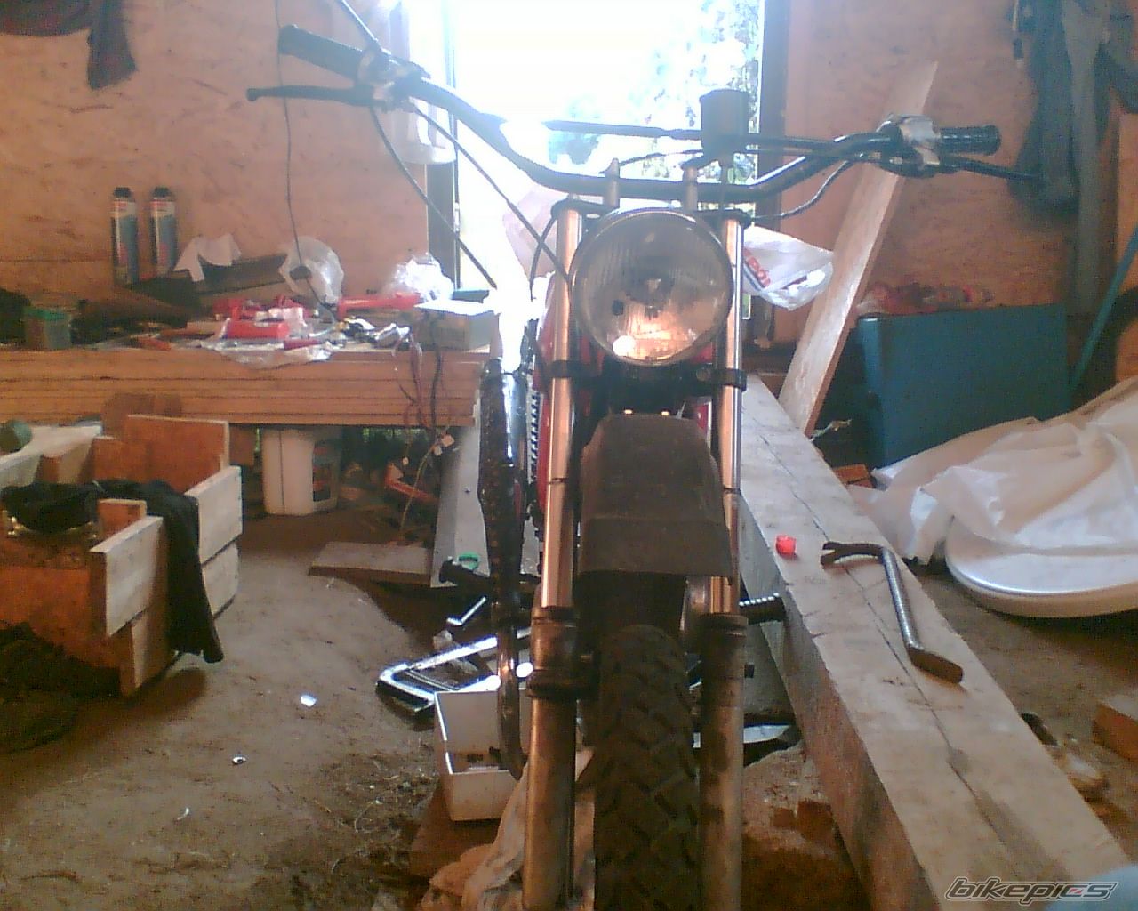 Photo 1435020