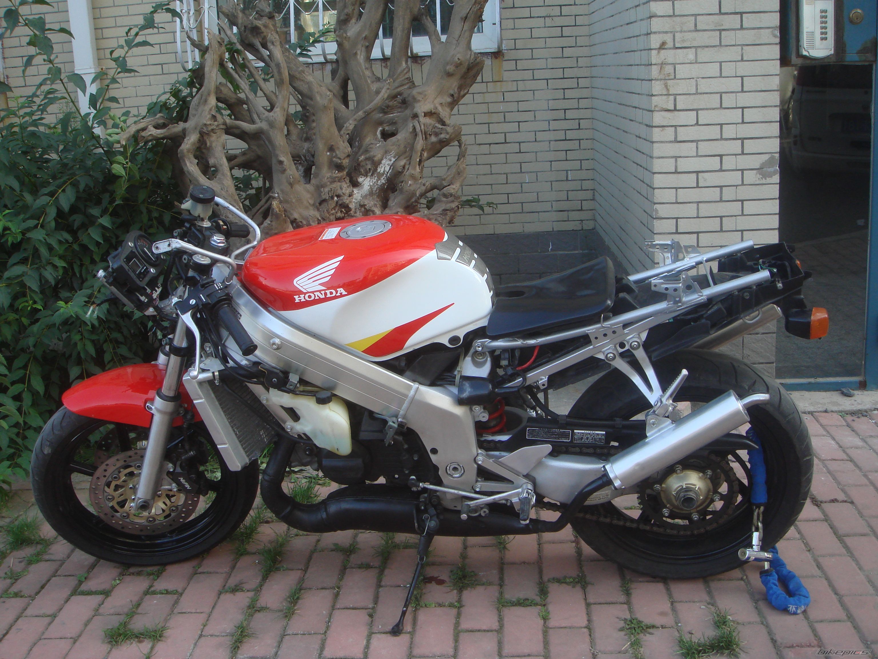 Photo 1435035