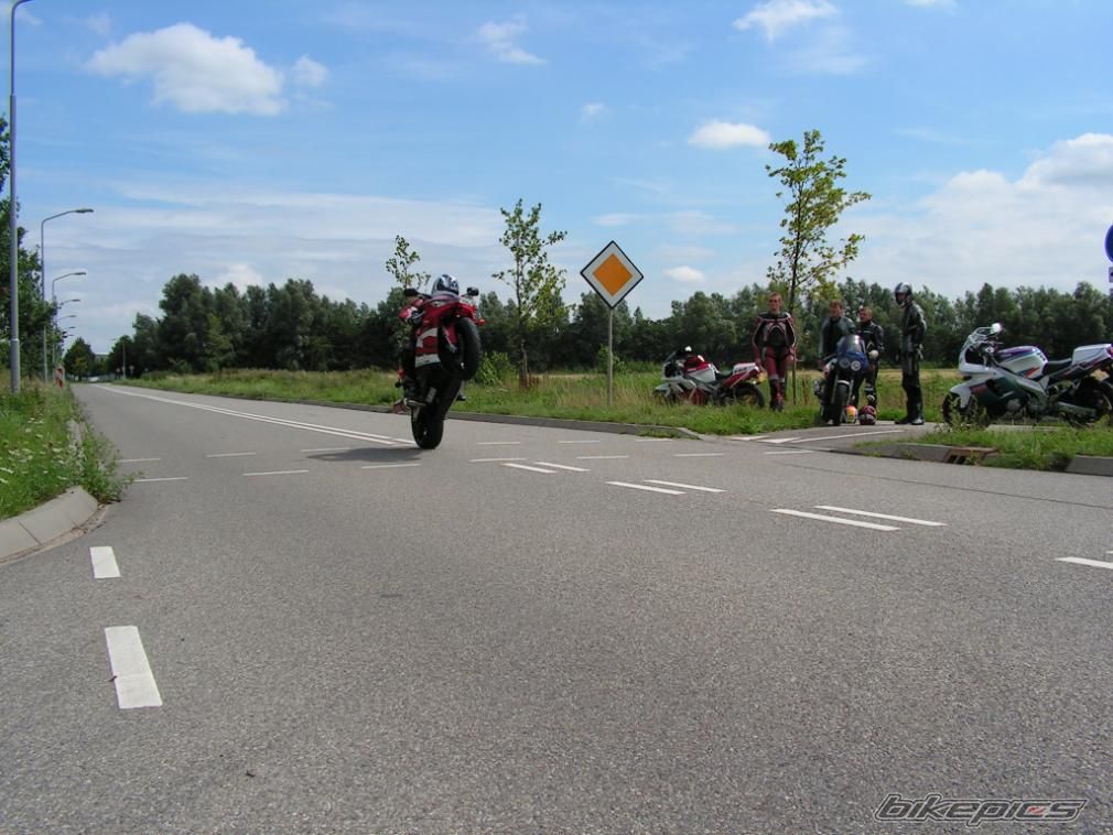 Photo 1435058