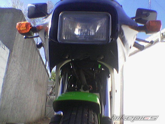 Photo 1435136