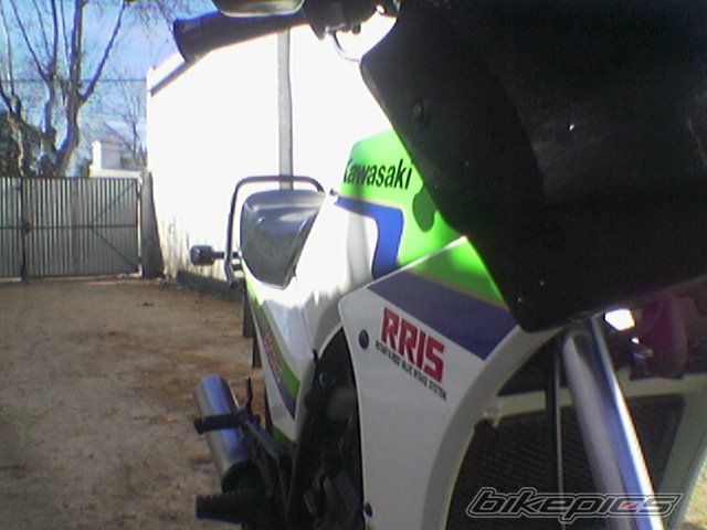 Photo 1435137
