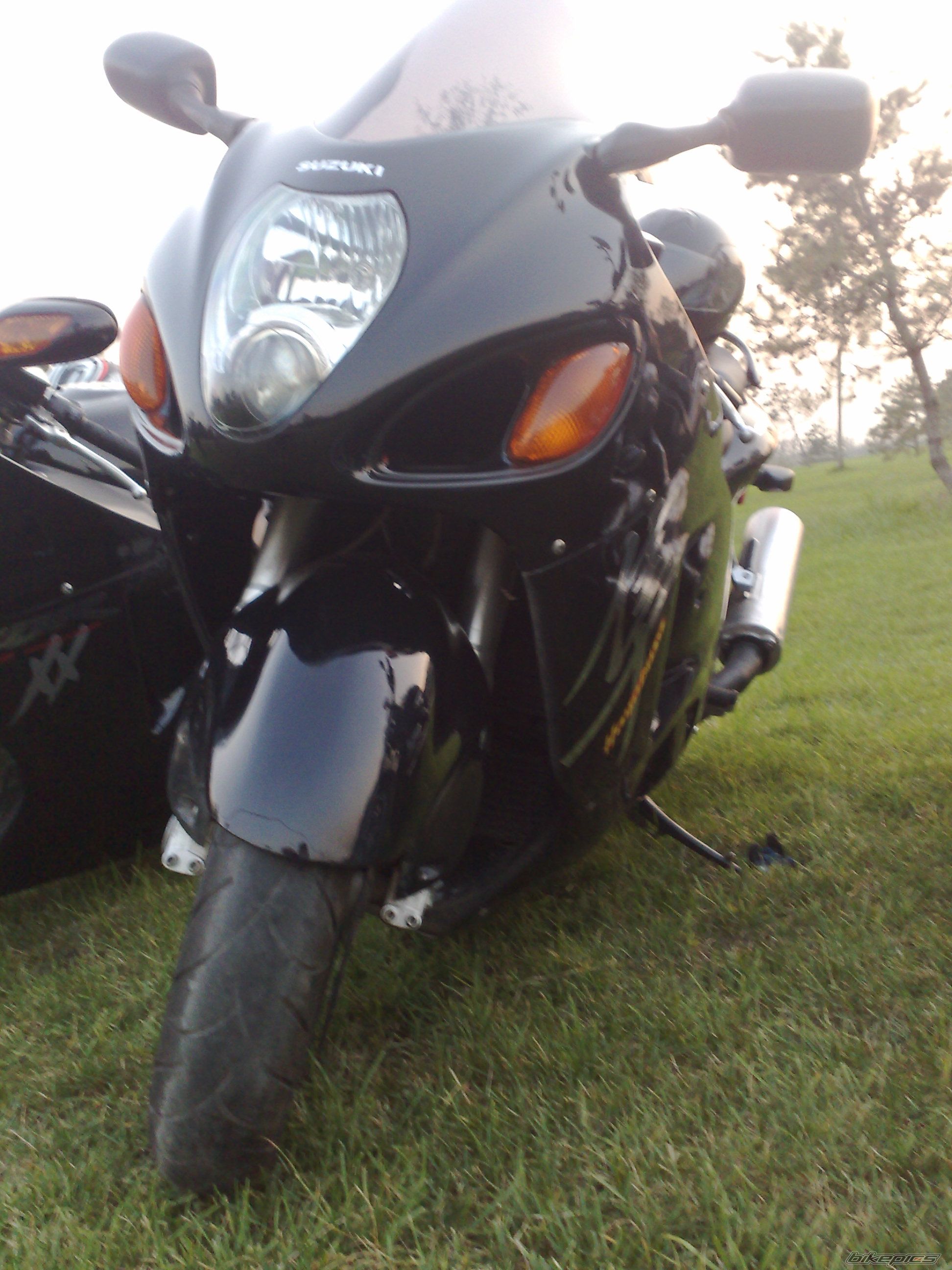 Photo 1435185
