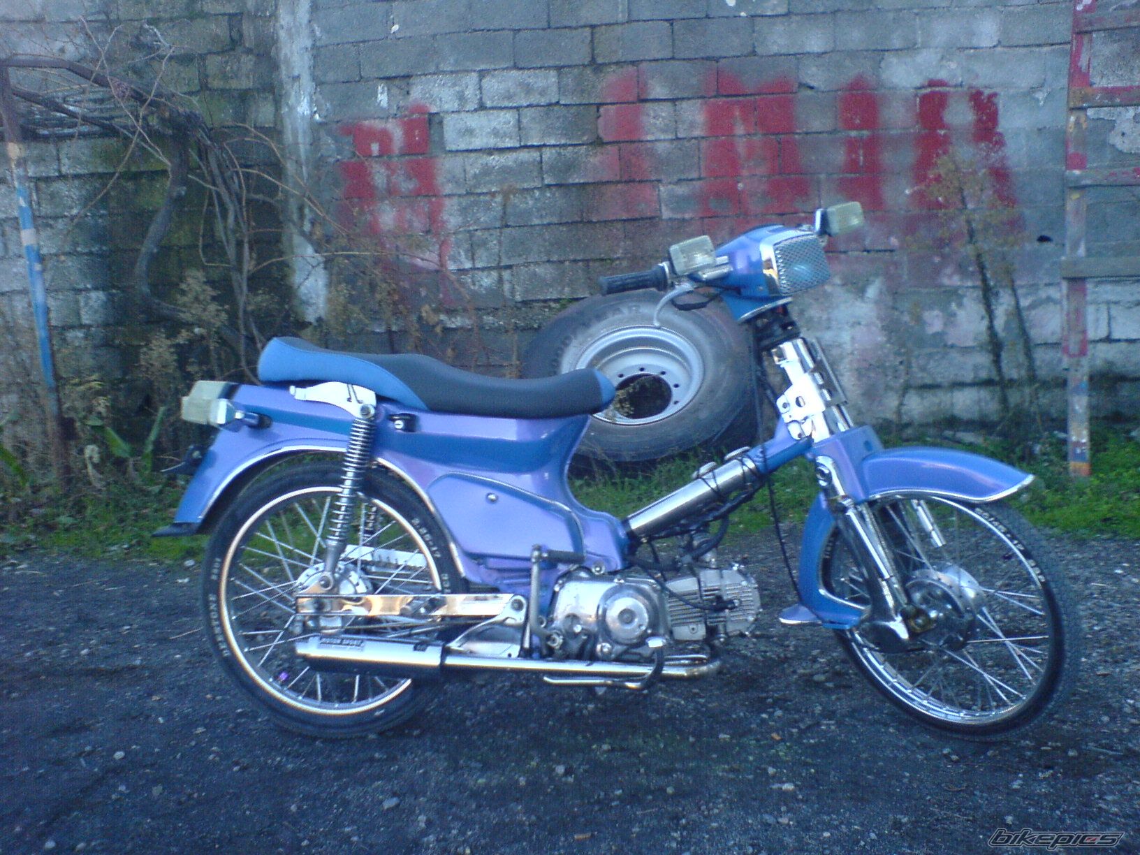 Photo 1435219
