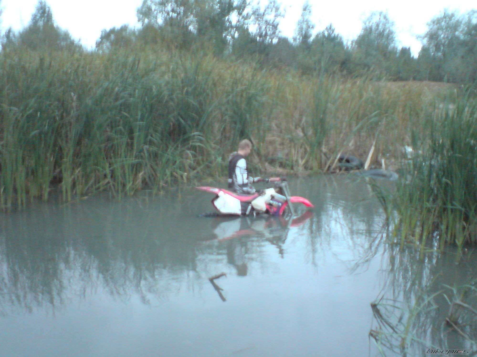 Photo 1435222