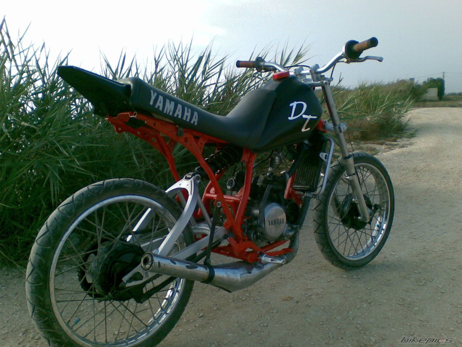 Photo 1435291