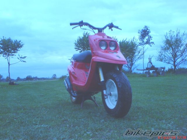 Photo 1435292