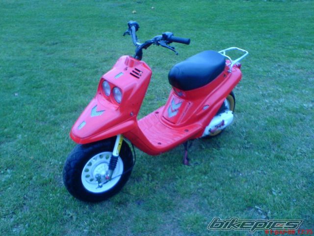 Photo 1435297