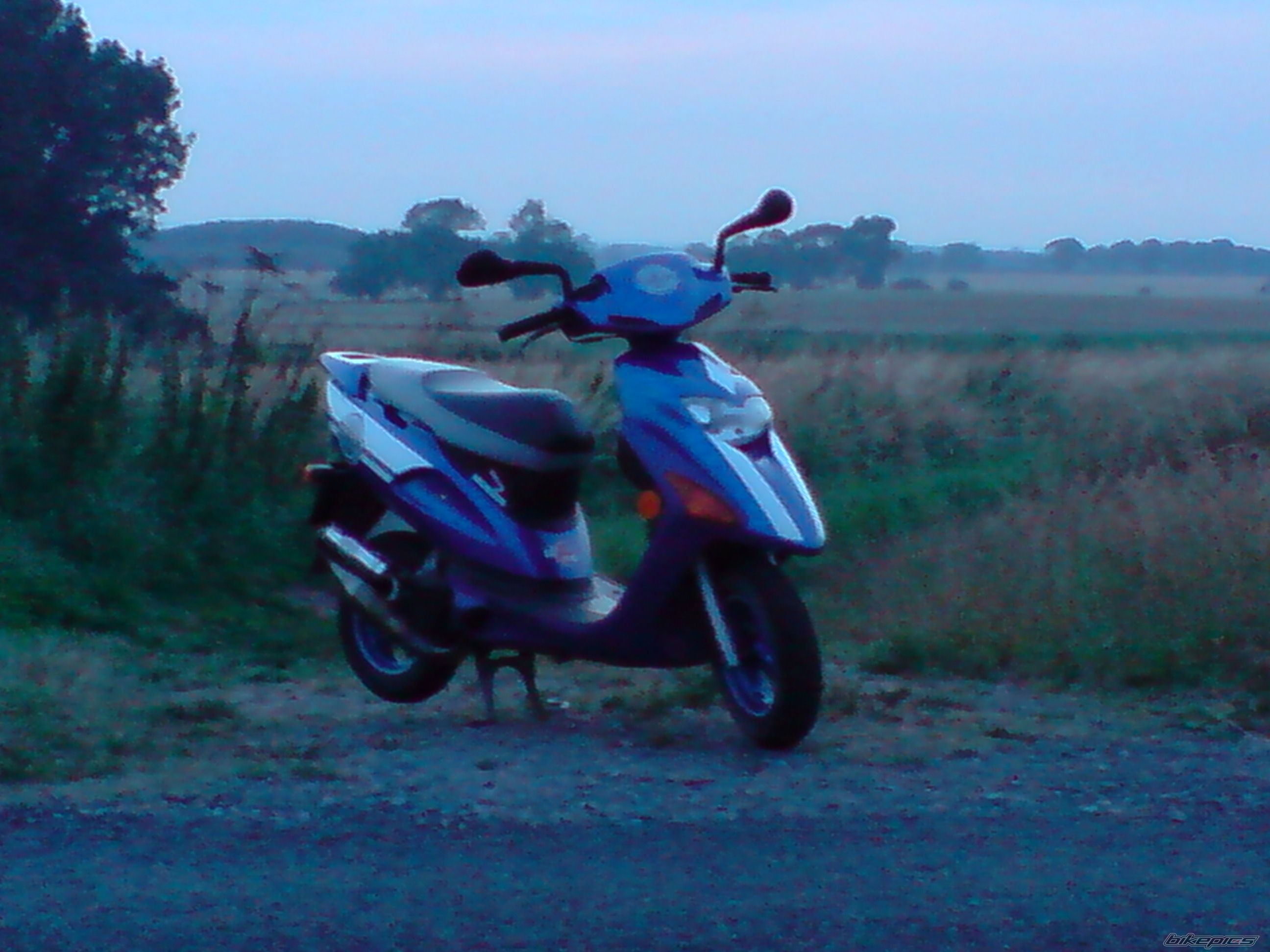 Photo 1435299