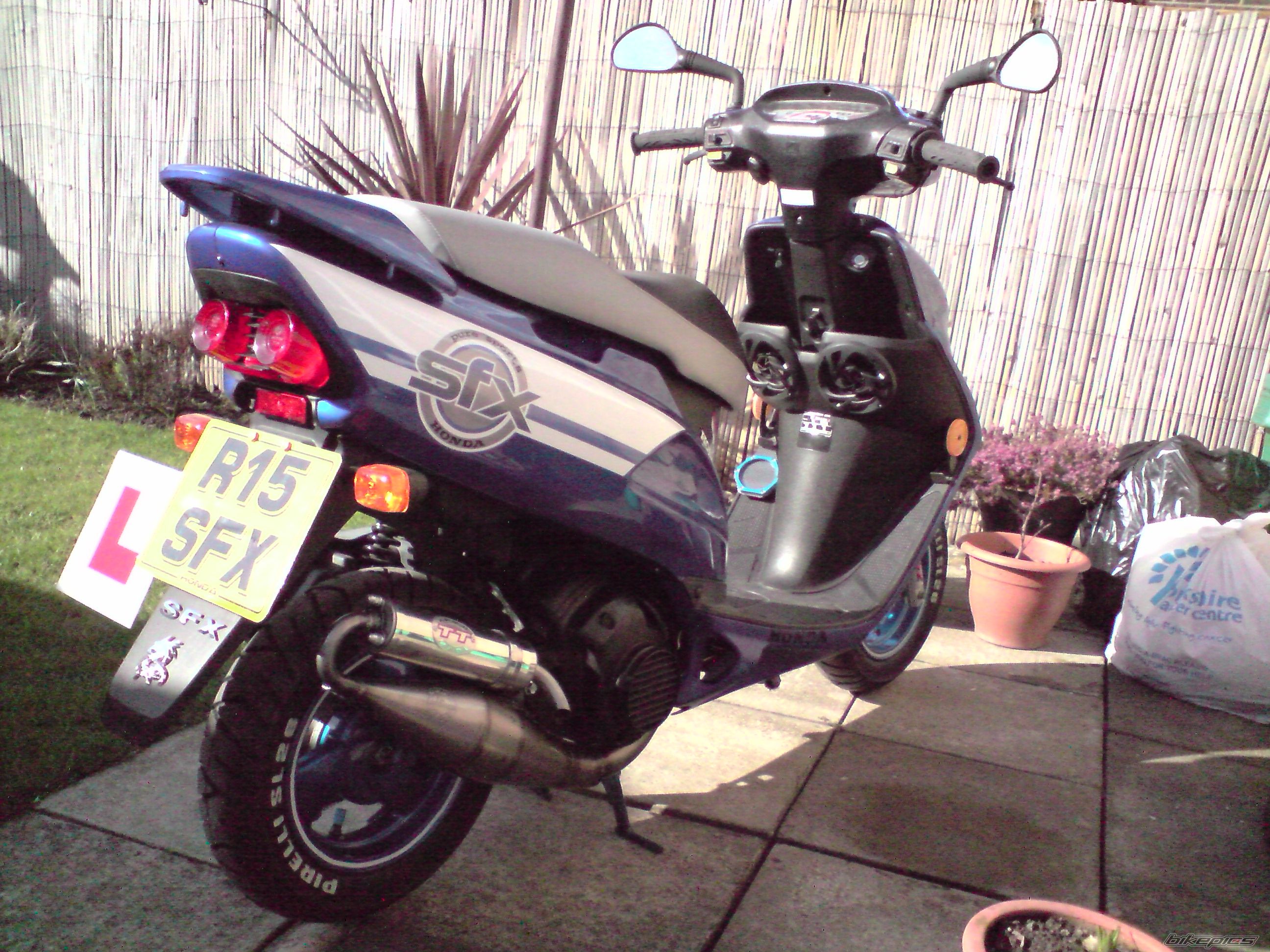 Photo 1435303