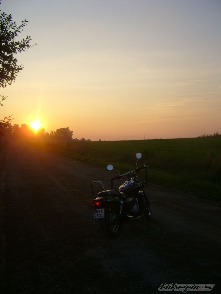 Photo 1435312