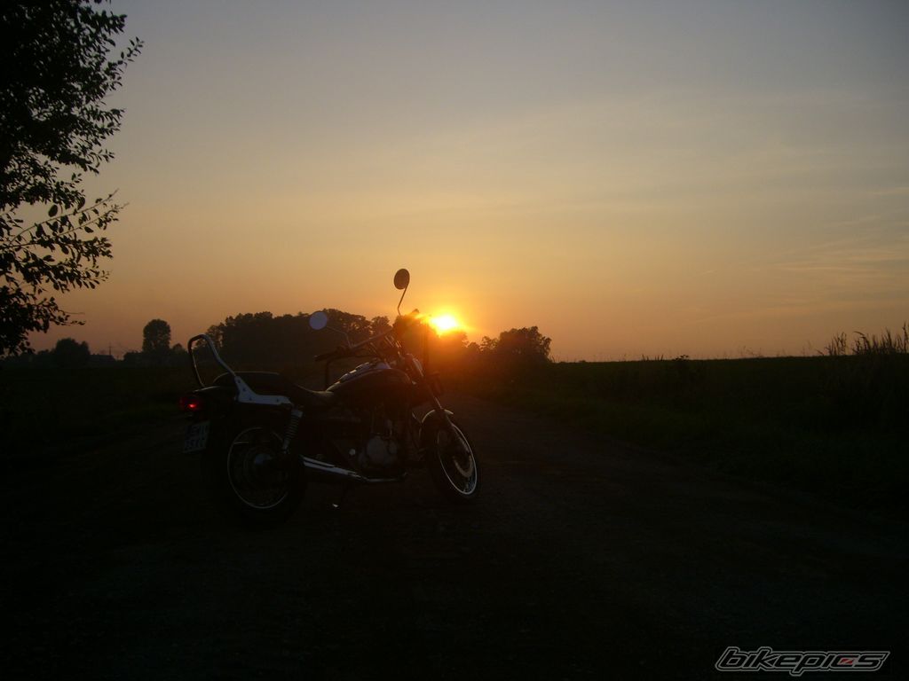 Photo 1435313