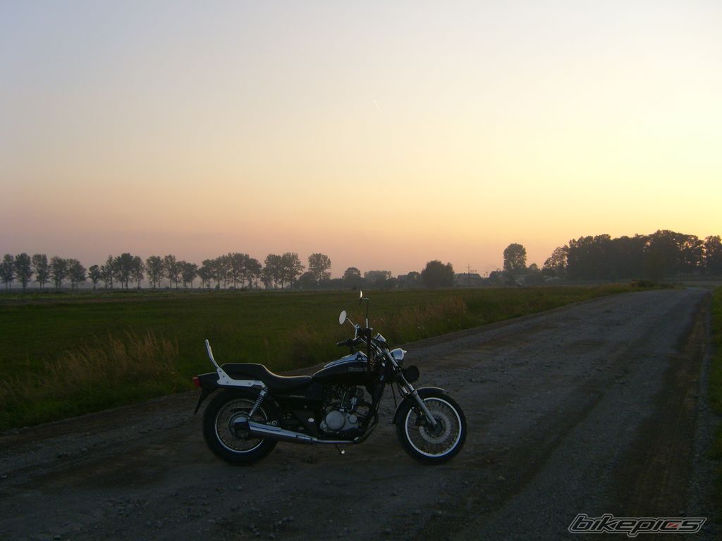 Photo 1435317