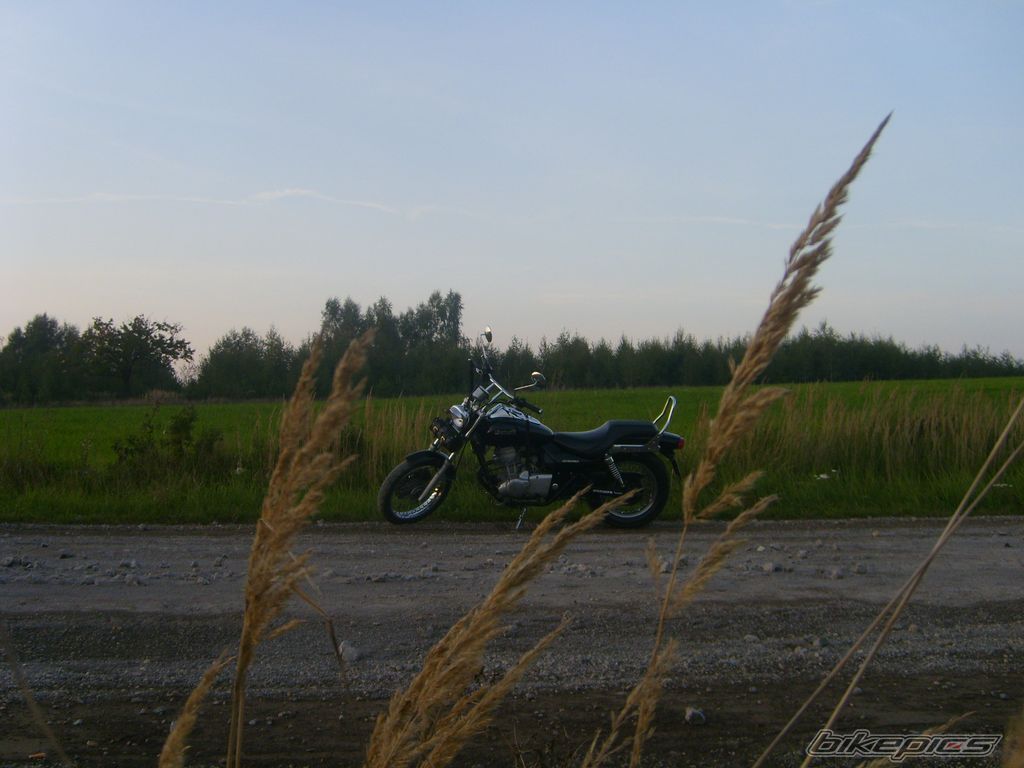 Photo 1435320