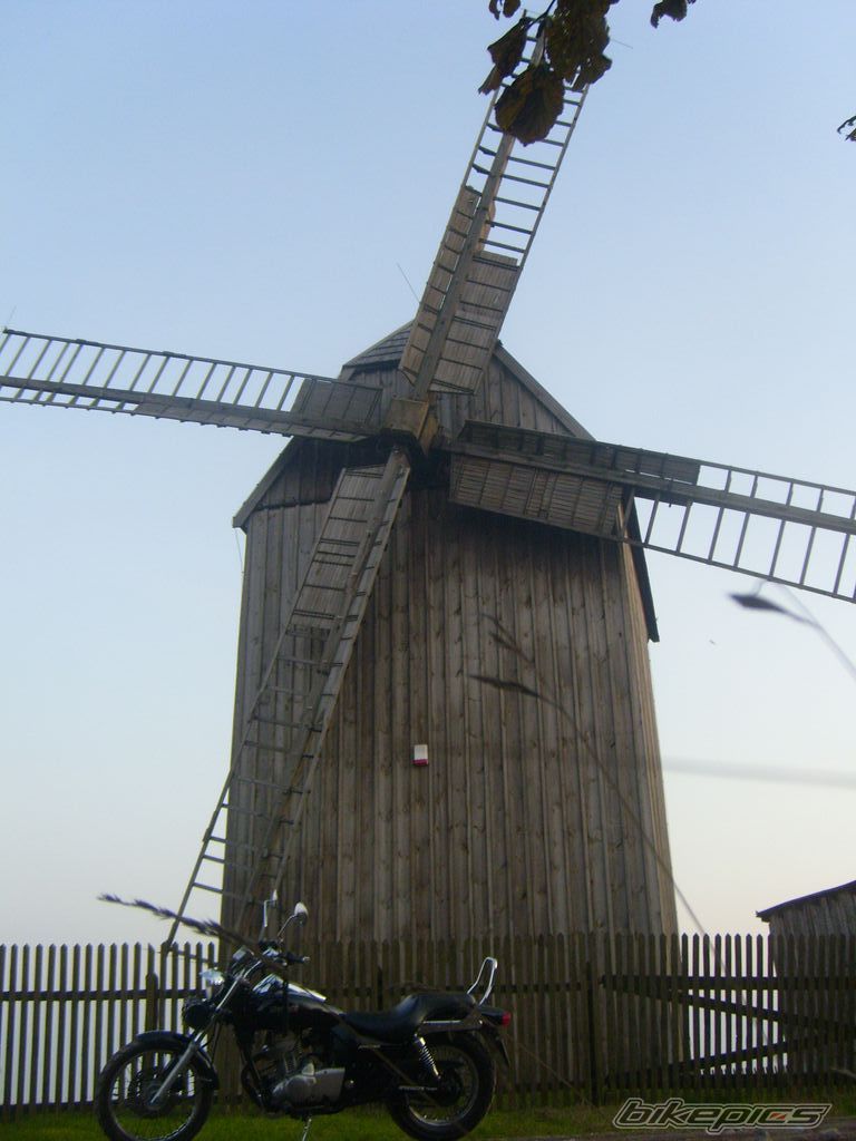 Photo 1435325