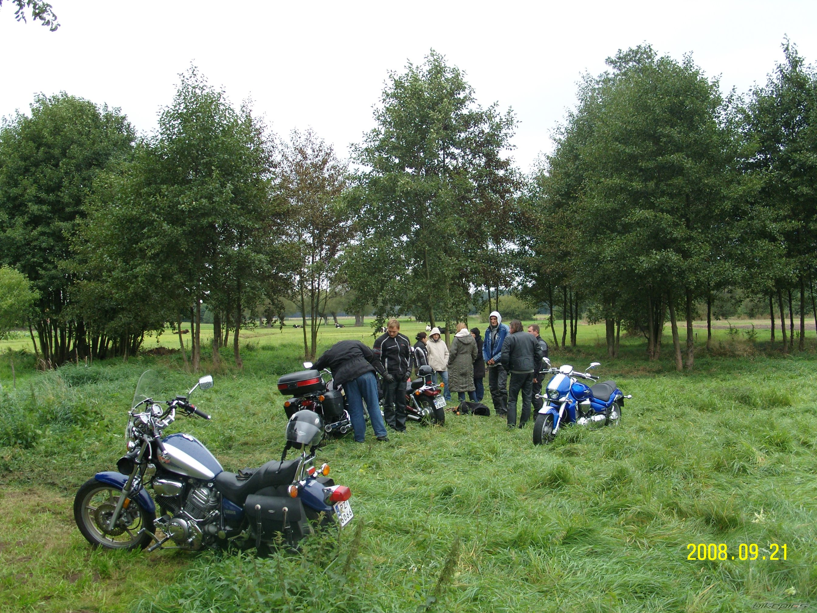 Photo 1435442