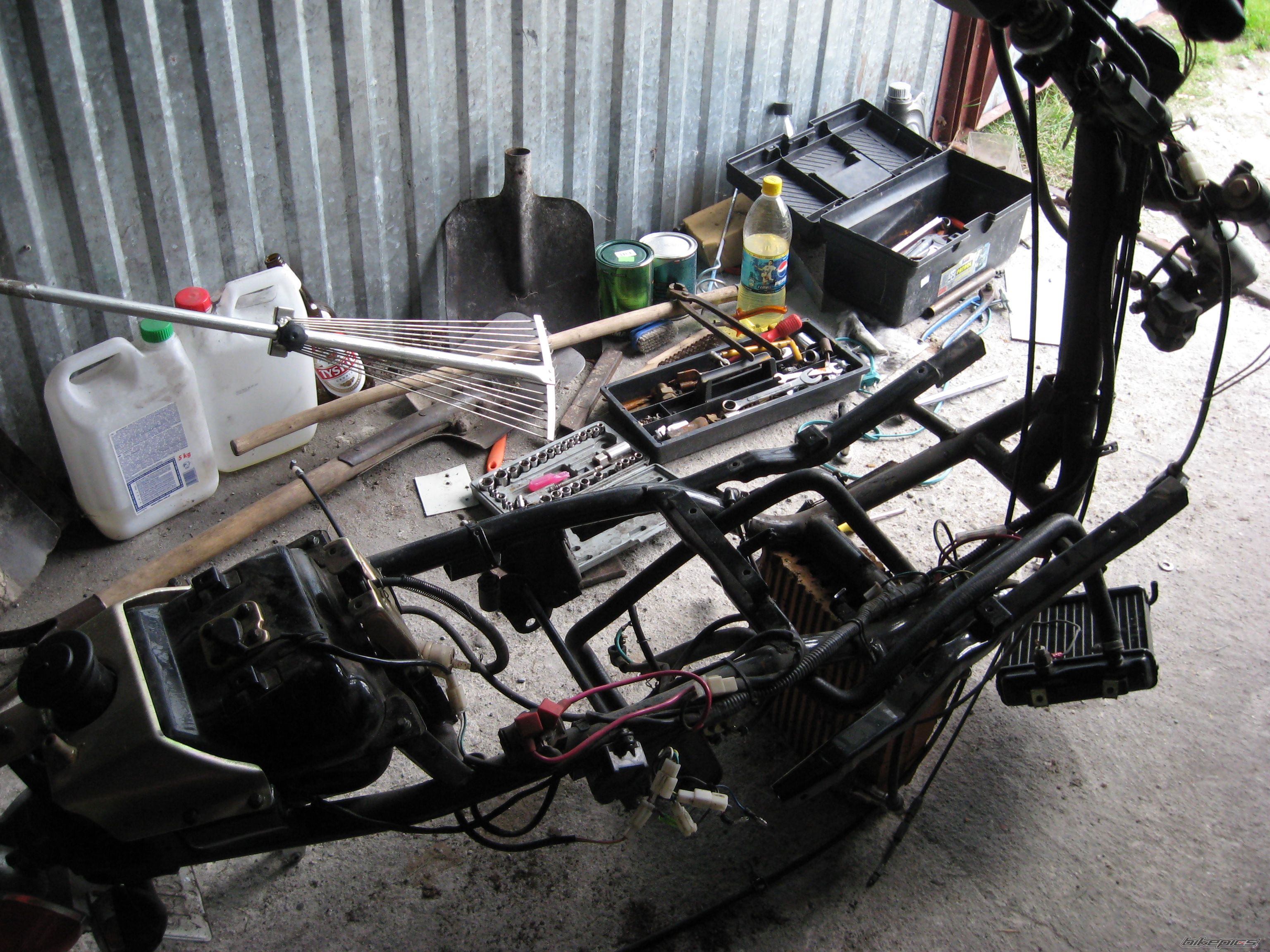 Photo 1435469