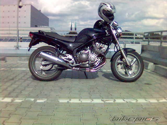 Photo 1435487