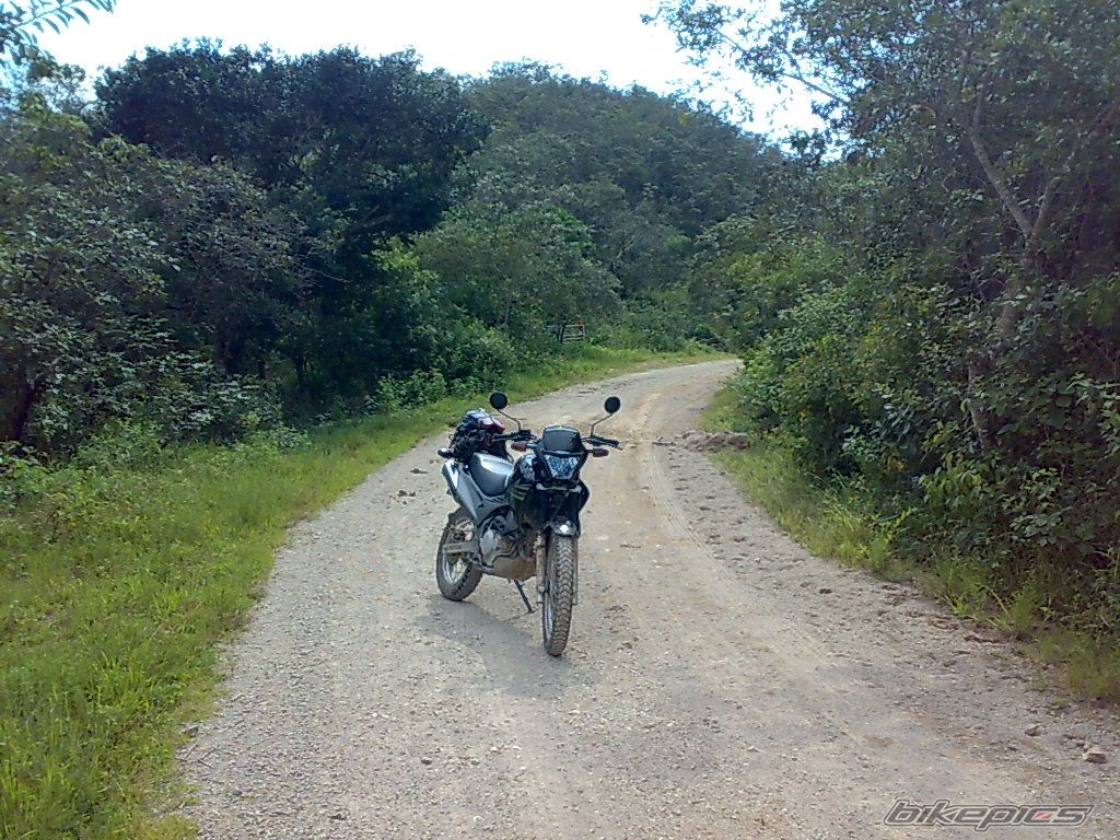 Photo 1435562