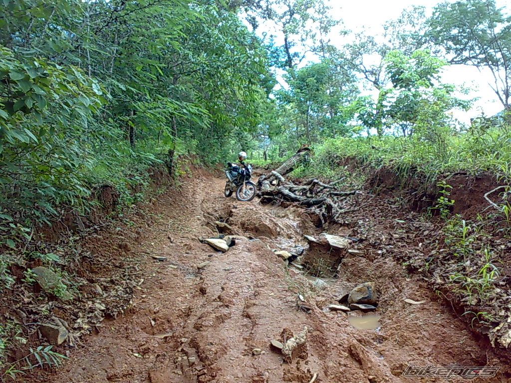 Bike Photo 1435564