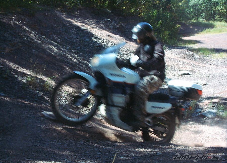Photo 1435601