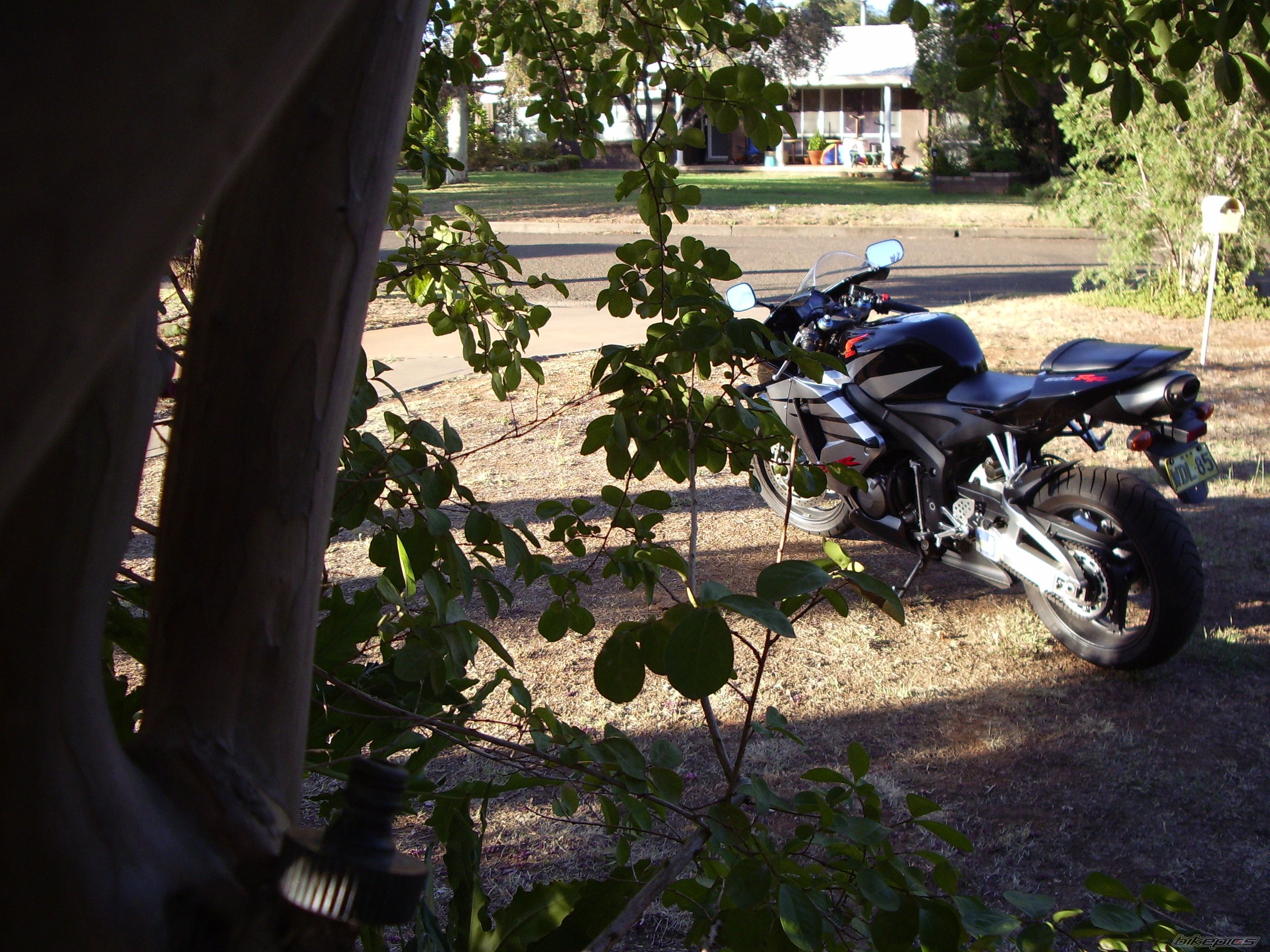 Photo 1435648