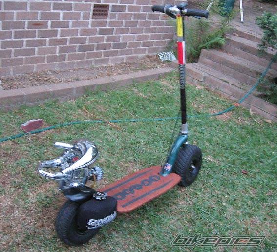 Photo 143575