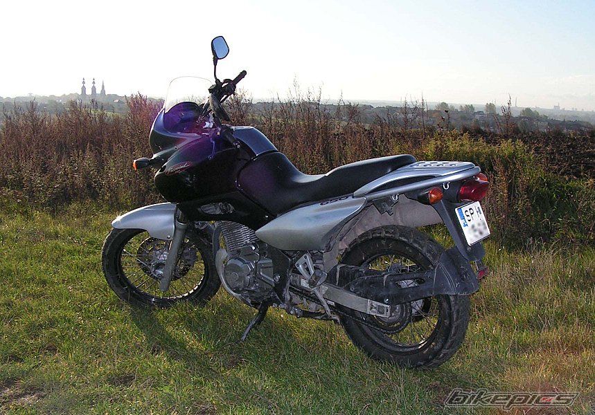 Photo 1435761