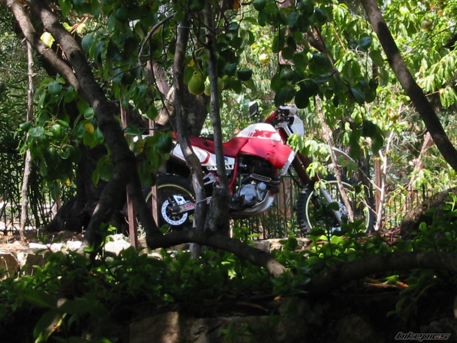 Photo 1435774