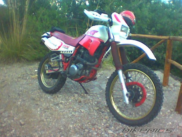 Photo 1435776