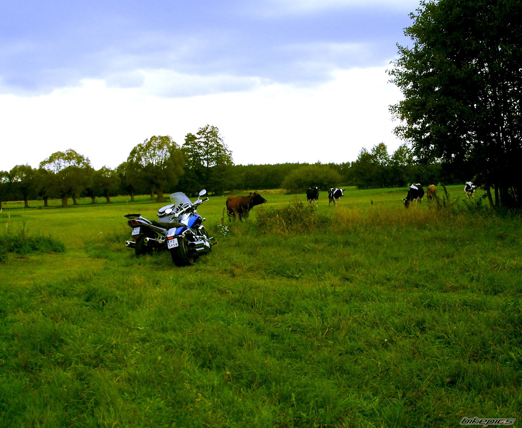 Photo 1435811