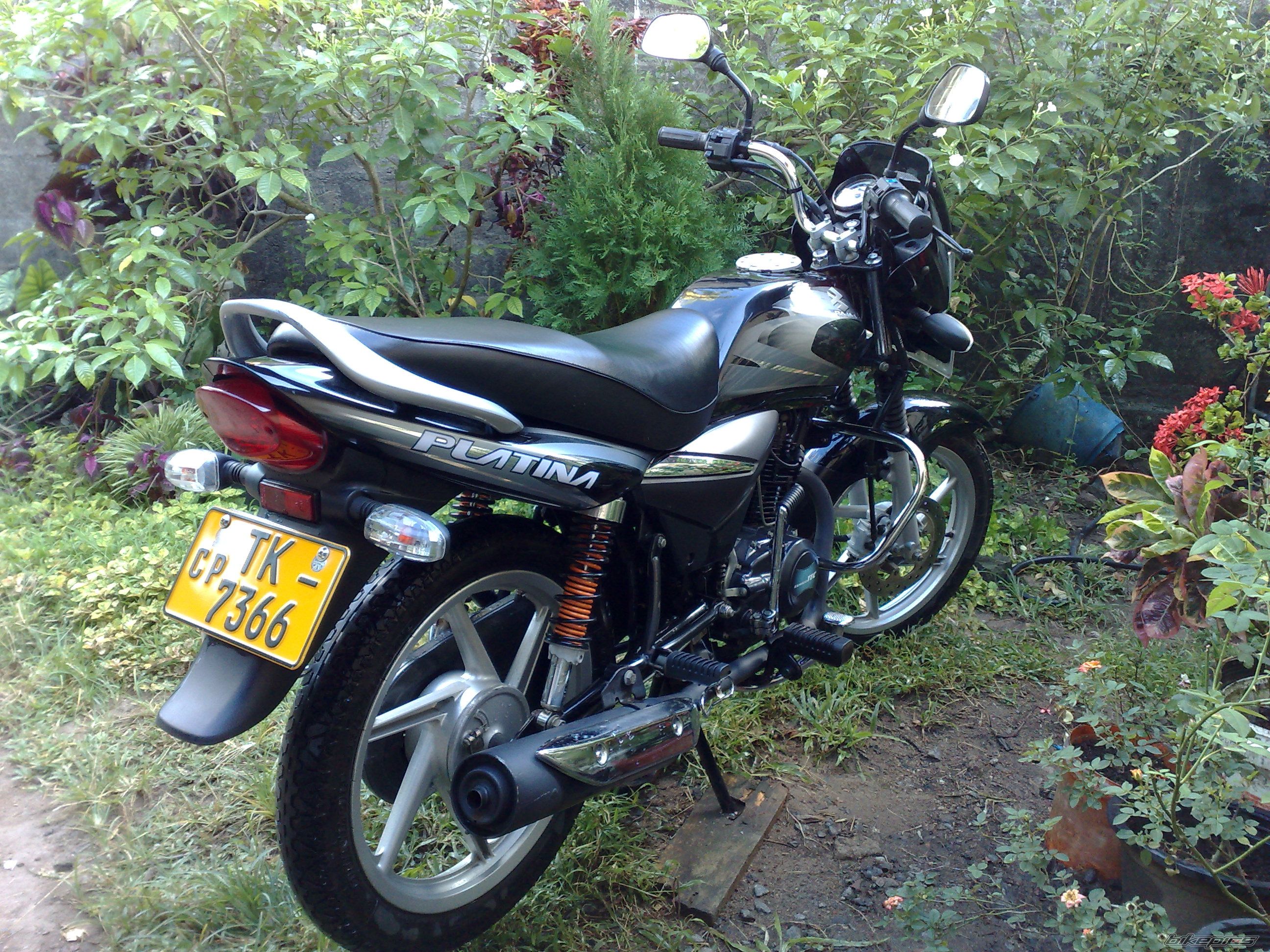 Photo 1435819