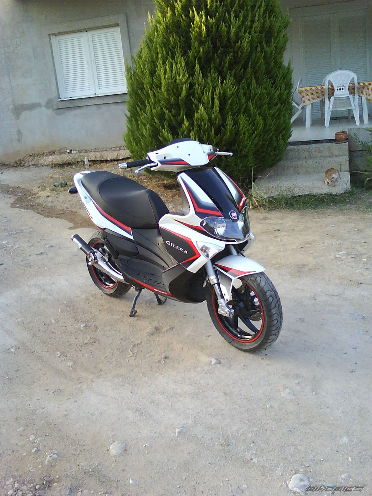 Photo 1435838