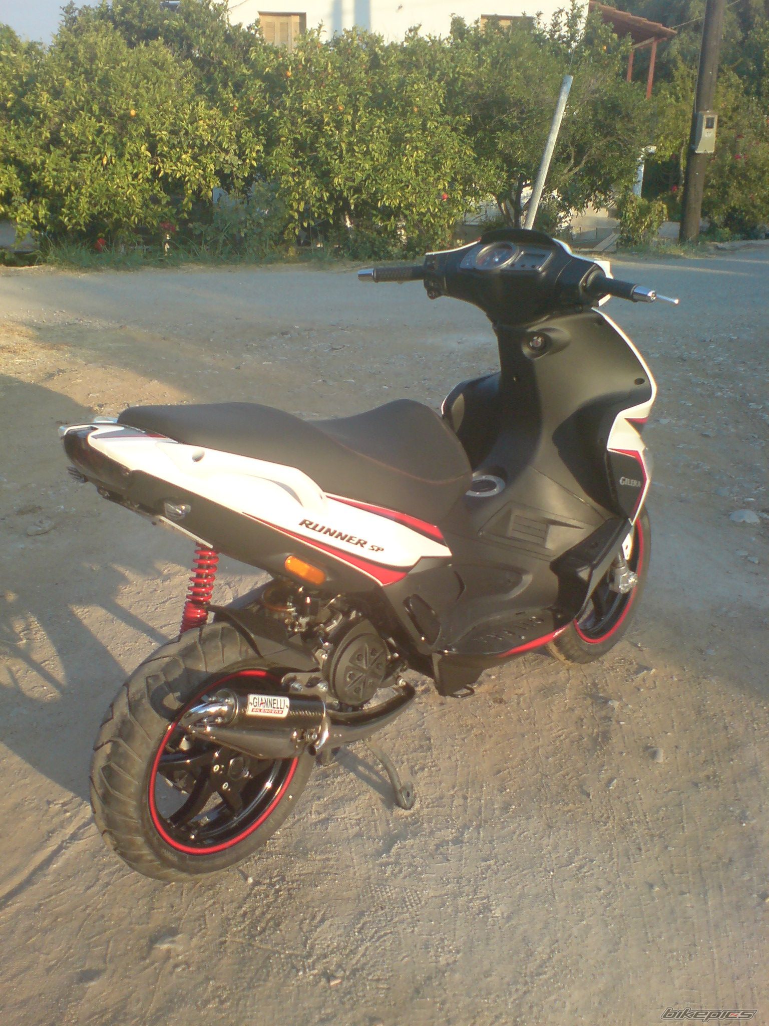 Photo 1435843
