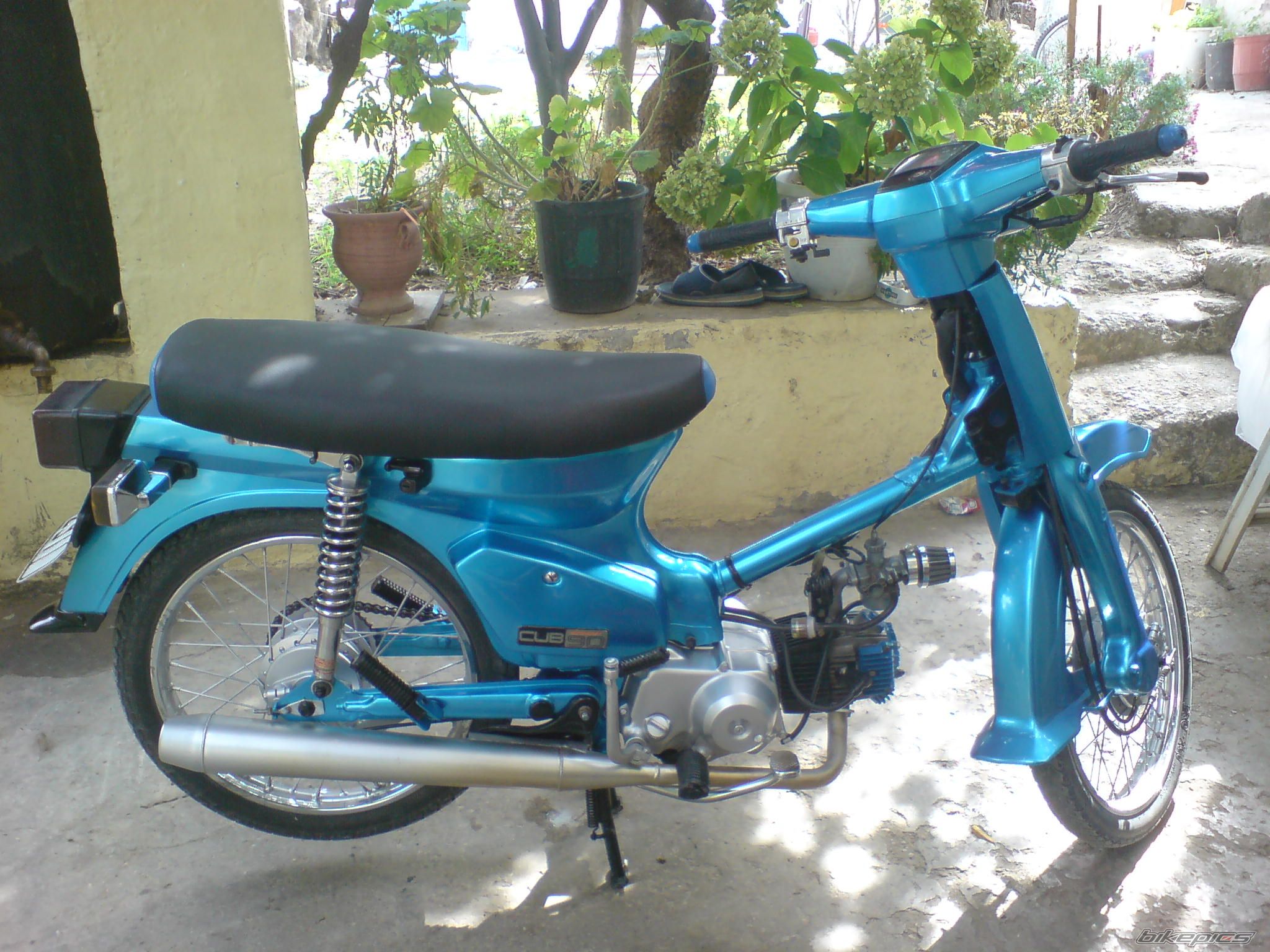 Photo 1435846