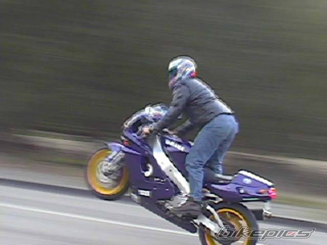 Photo 14359