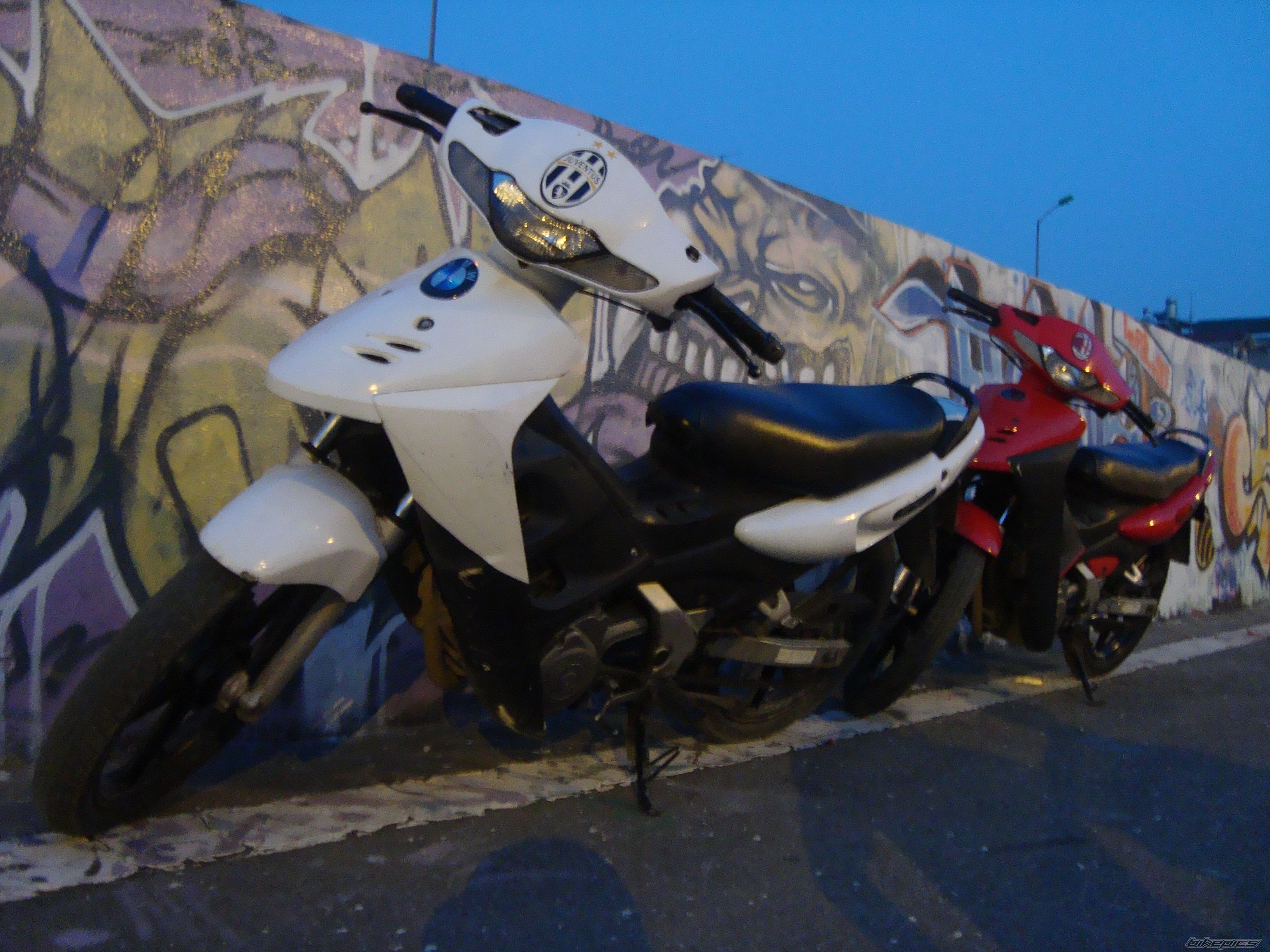 Photo 1435982