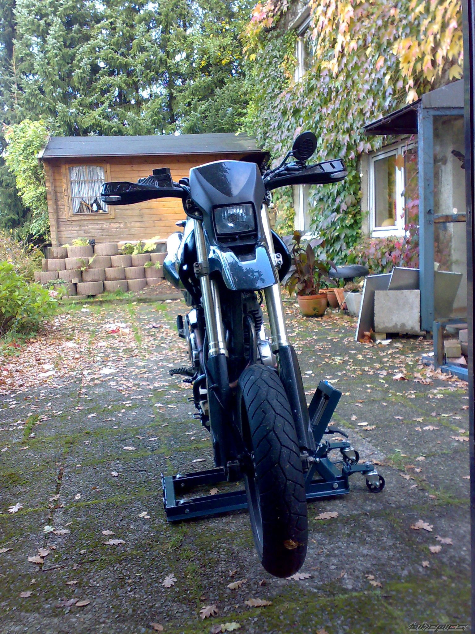 Photo 1435994